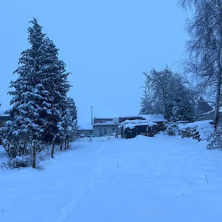 Ferienwohnung Classen Eifel Schleiden Eksteriør bilde