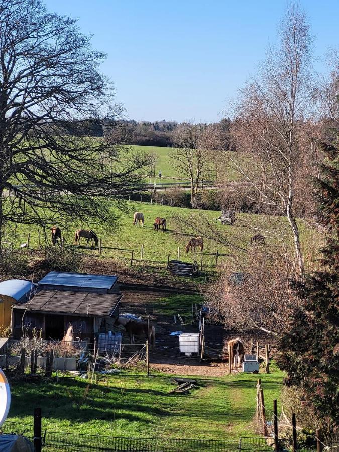Ferienwohnung Classen Eifel Schleiden Eksteriør bilde
